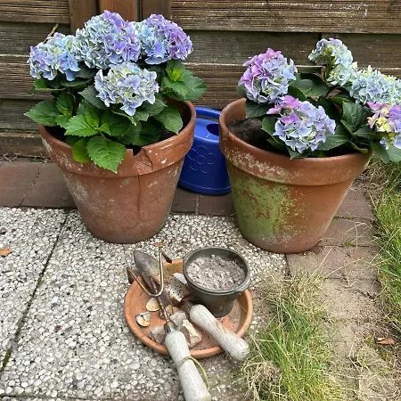 Moby Dick Sankt Peter-Ording