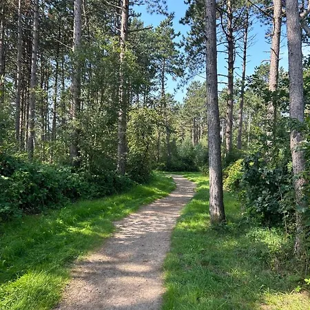 Moby Dick Apartament *