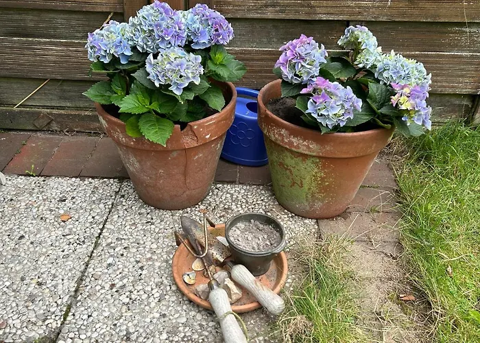 Moby Dick Sankt Peter-Ording