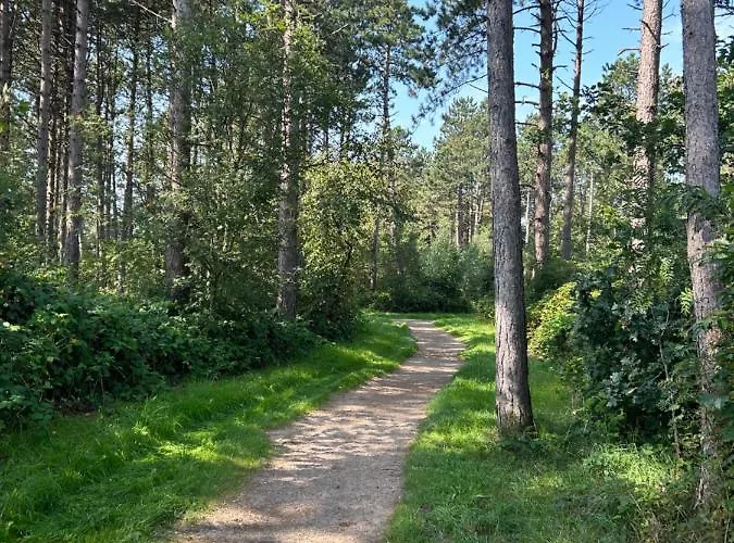 Moby Dick Lejlighed *